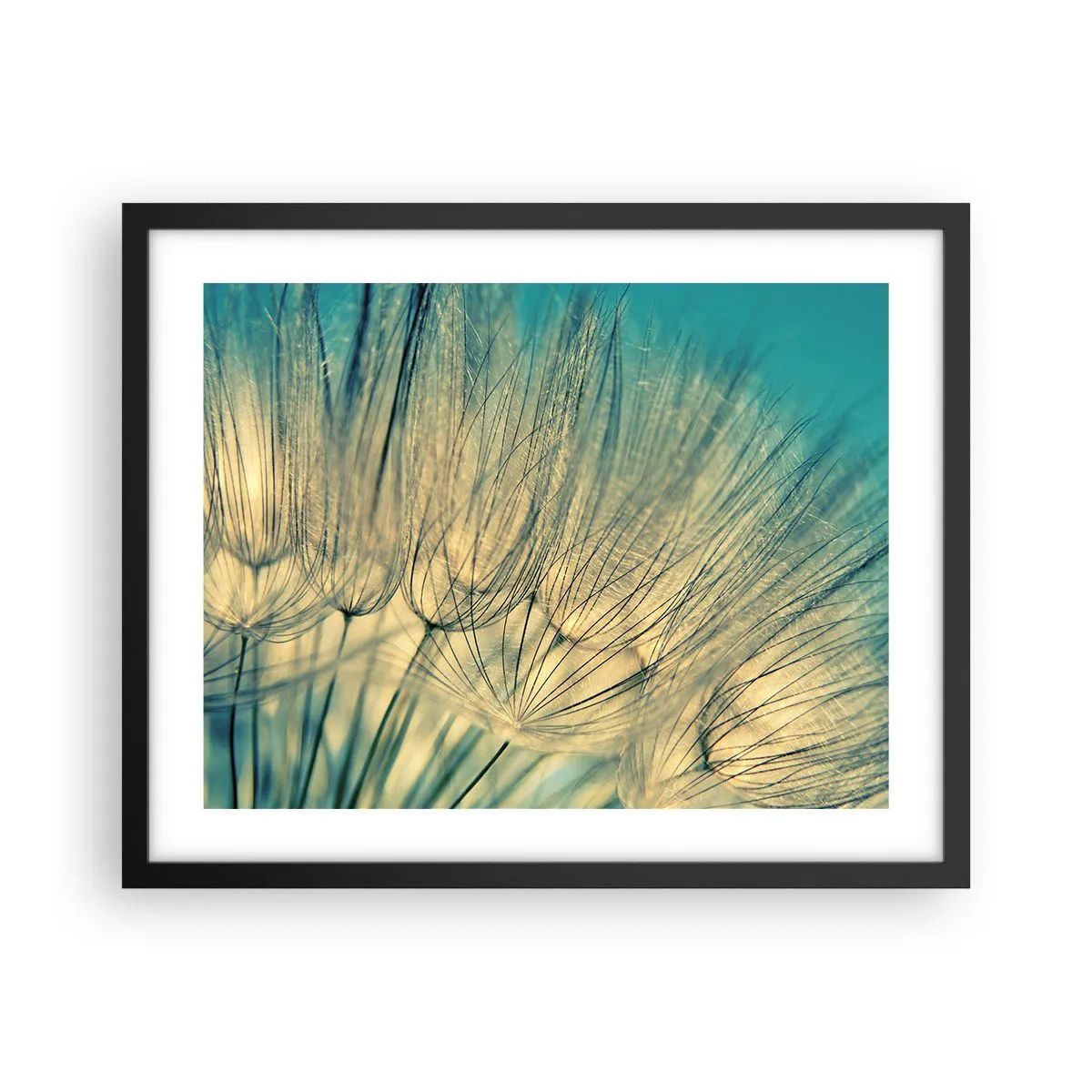 Affisch i svart ram - I väntan på vinden - 50x40 cm