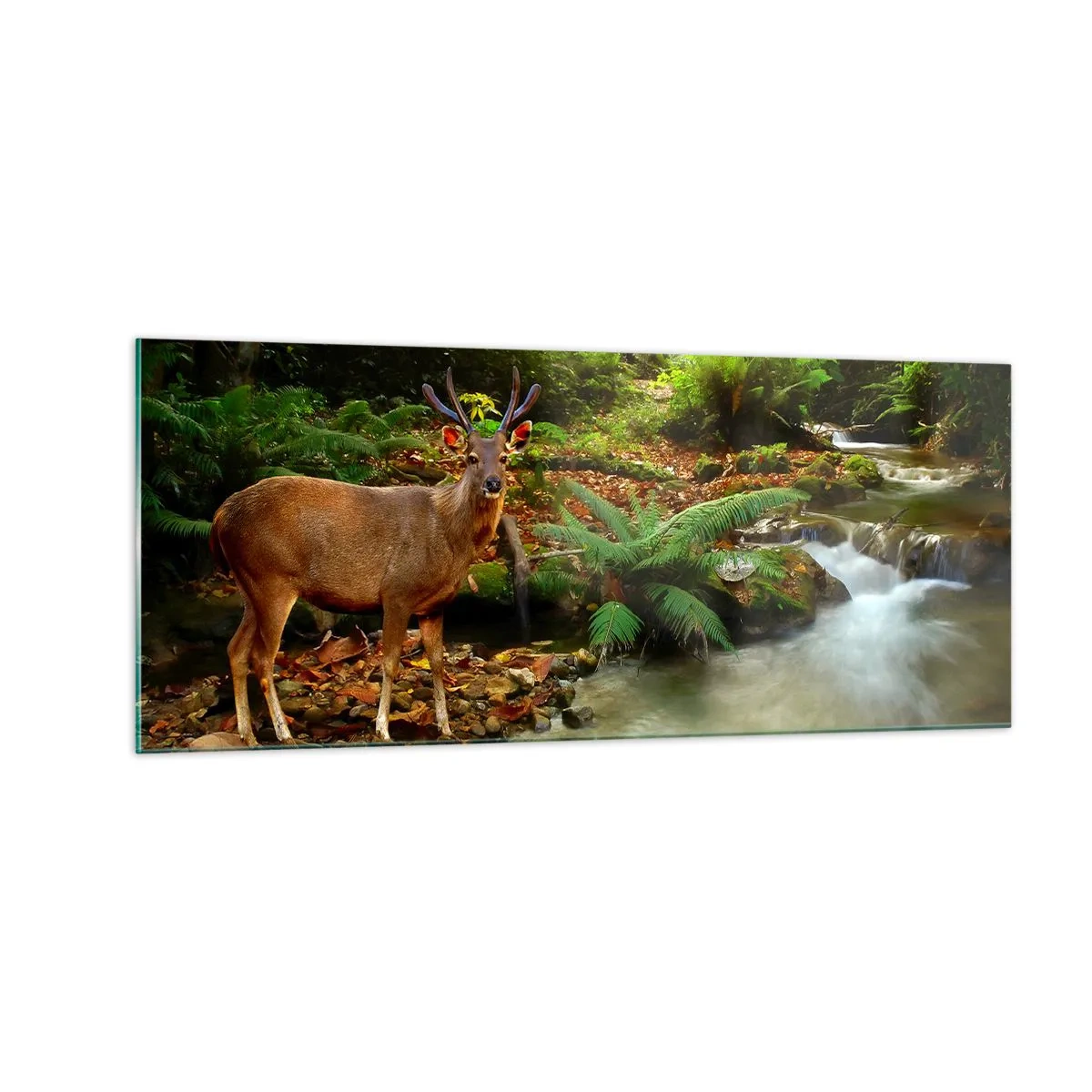 Glastavla - Bild på glas - Välkommen till min värld - 100x40 cm