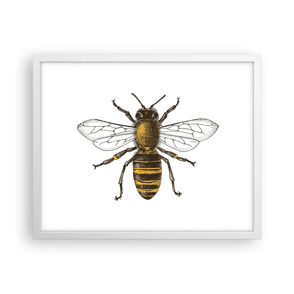 Affisch i vit ram - Vackert och bra - 50x40 cm