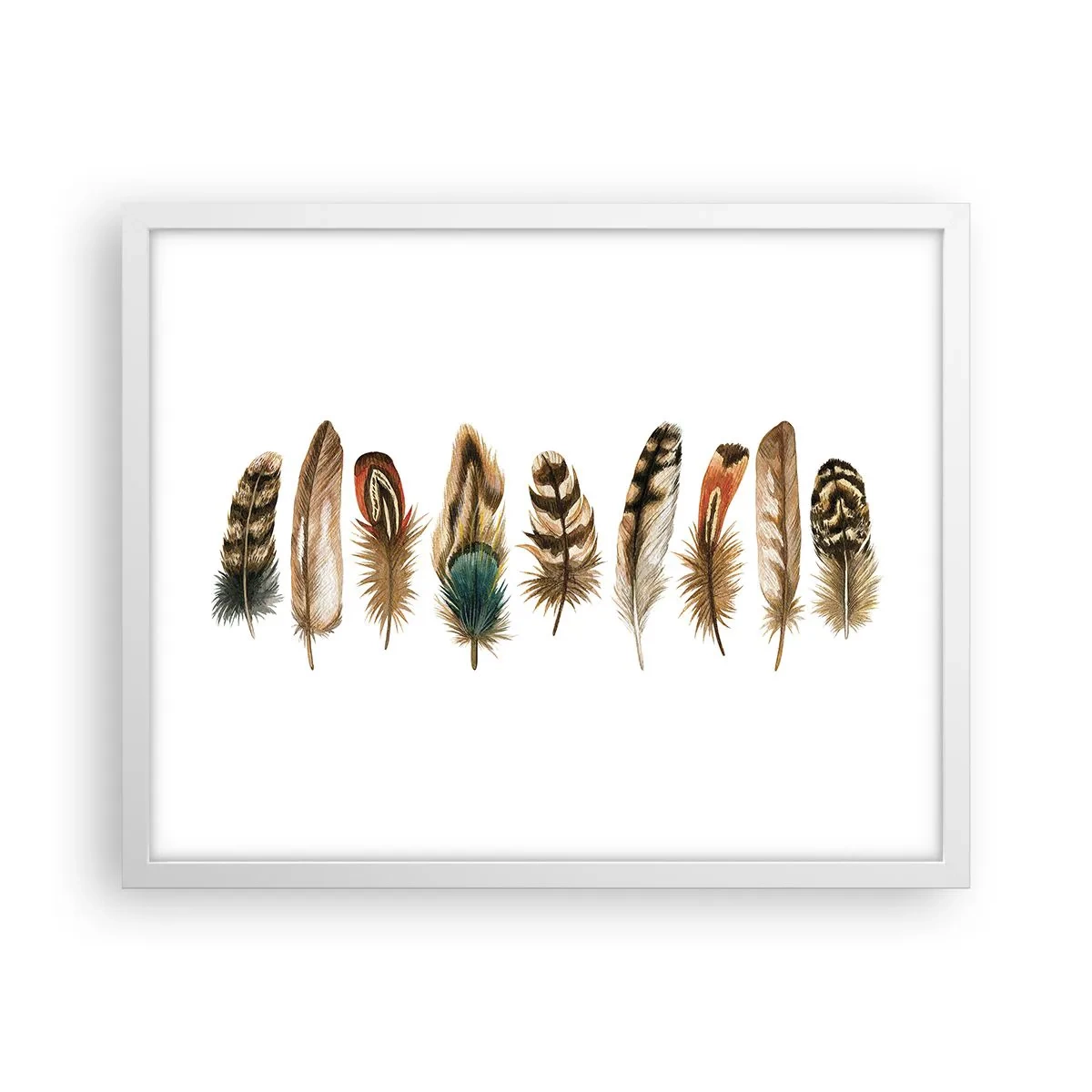 Affisch i vit ram - Fjädervariation - 50x40 cm