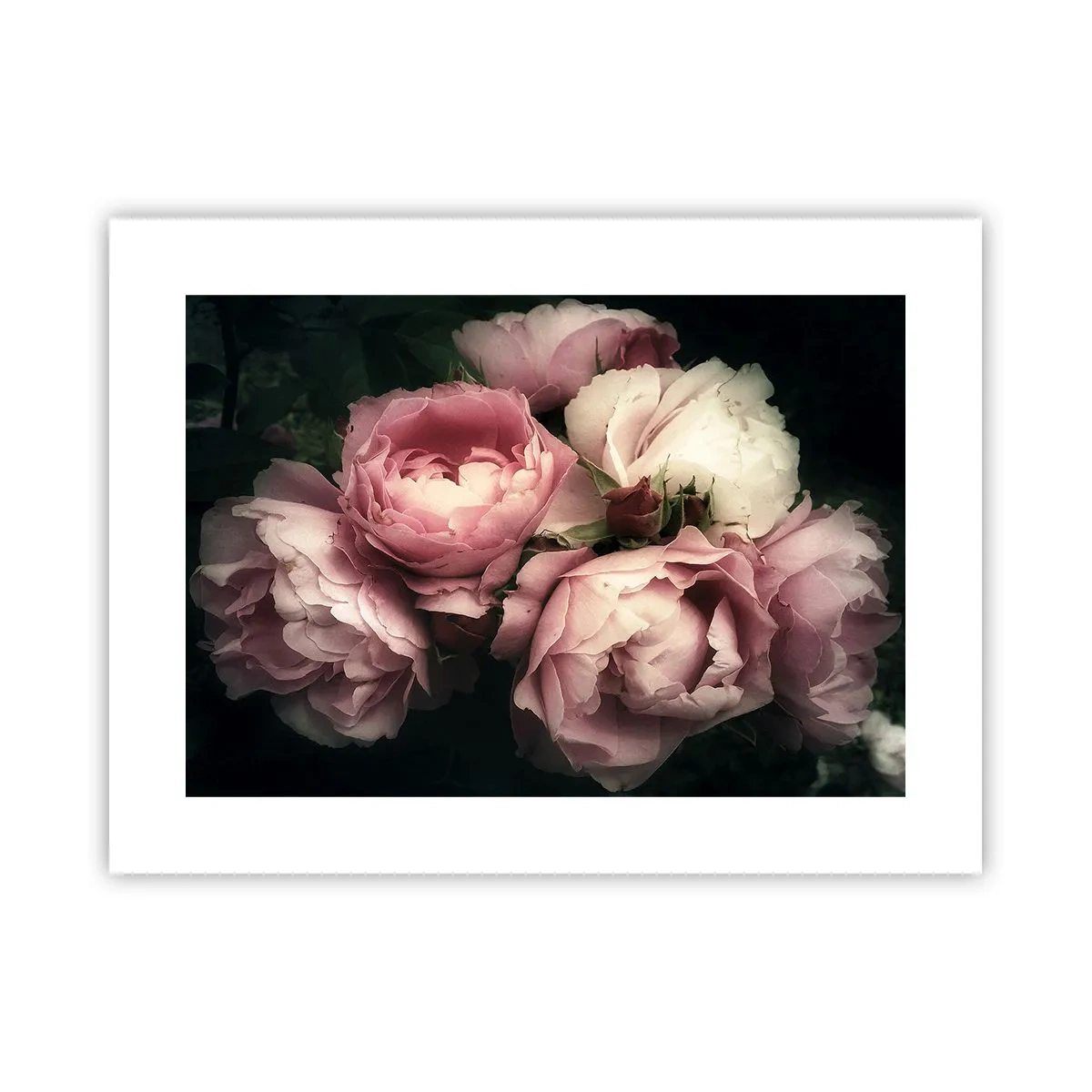 Affisch - Belle epoque charm - 40x30 cm
