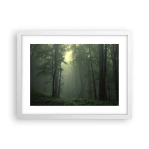 Affisch i vit ram - Innan skogen vaknar - 40x30 cm