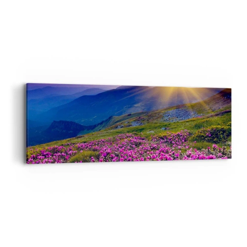 Canvastavla - Bild på duk - … Bergtallen doftar och örterna luktar runt omkring - 90x30 cm