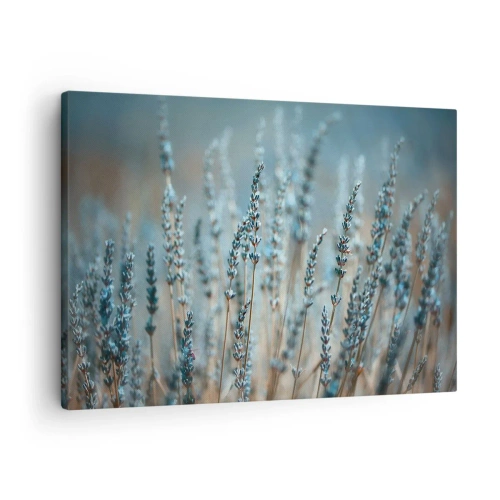 Canvastavla - Bild på duk - Lavendel på fältet i subtila pastellfärger - 70x50cm - Doftande åkermark - Modern väggdekoration för vardagsrum och sovrum ARTTOR