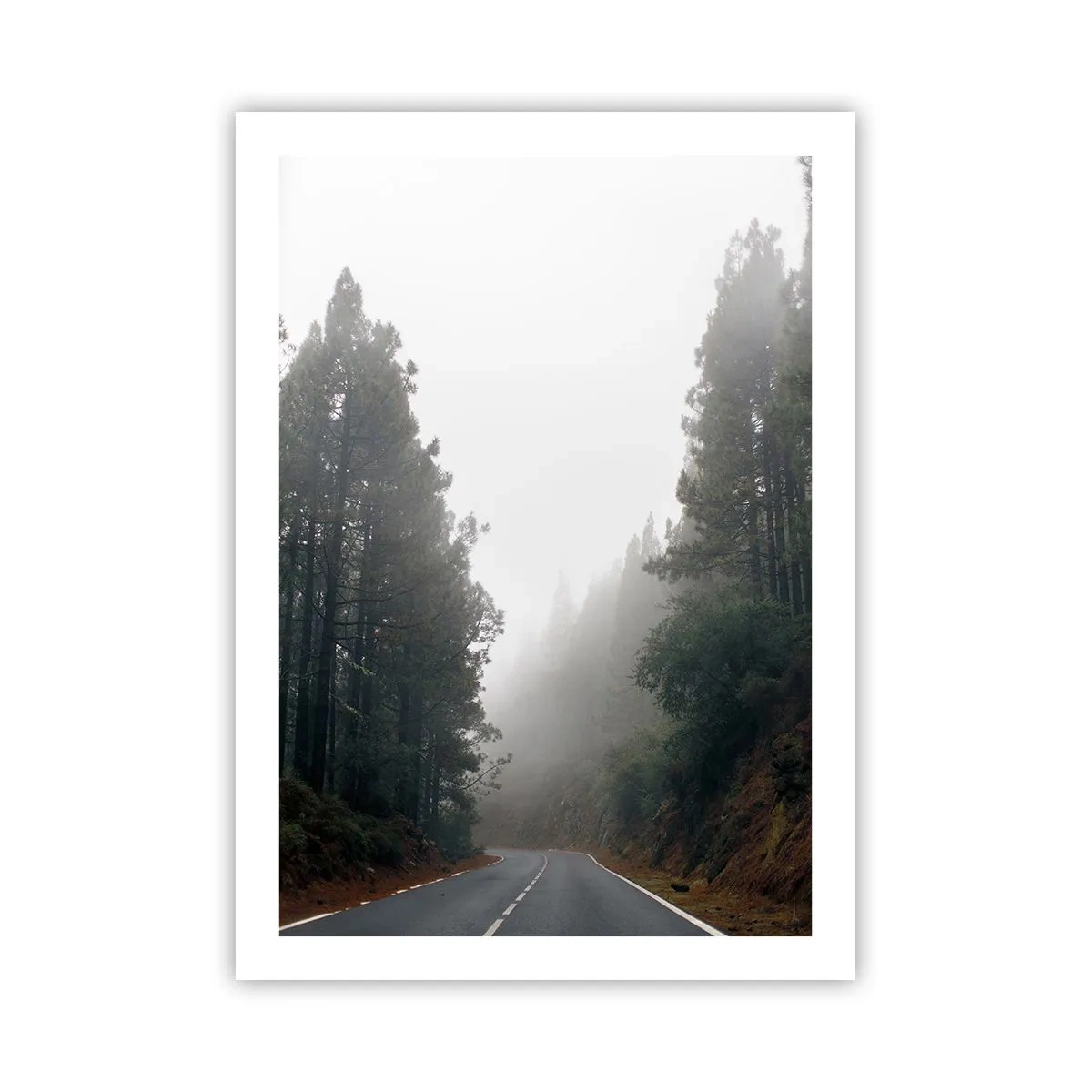 Affisch - Magiska skogens berättelse - 50x70 cm