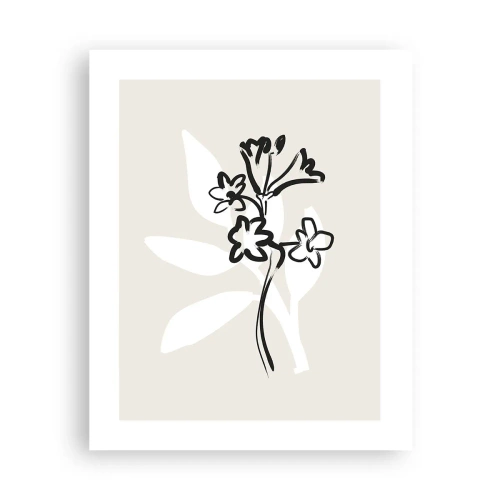 Affisch - Skiss till ett herbarium - 40x50 cm