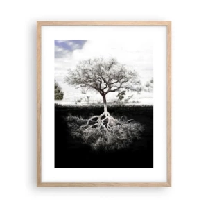 Affisch i ram av ljusek - Upptäckt av världens natur - 40x50 cm