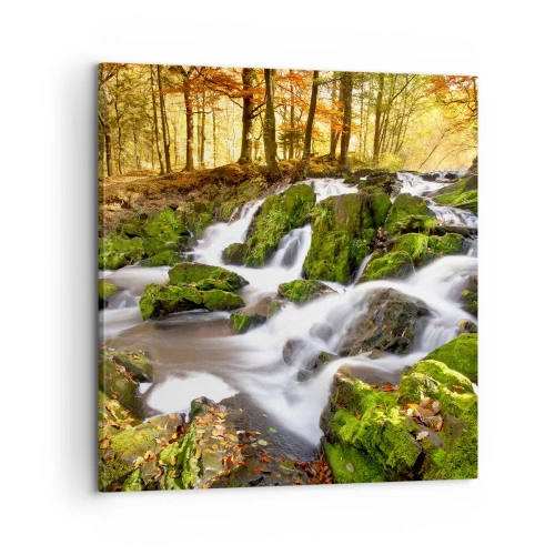 Canvastavla - Bild på duk - Kvickt genom höstskogen - 60x60 cm