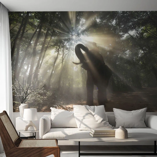 Fototapet Premium Sand - Under en lycklig stjärna - Landskap, Elefant, Djungel - 100x70 cm