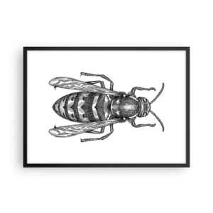 Affisch i svart ram - Från insektplaneten  - 70x50 cm