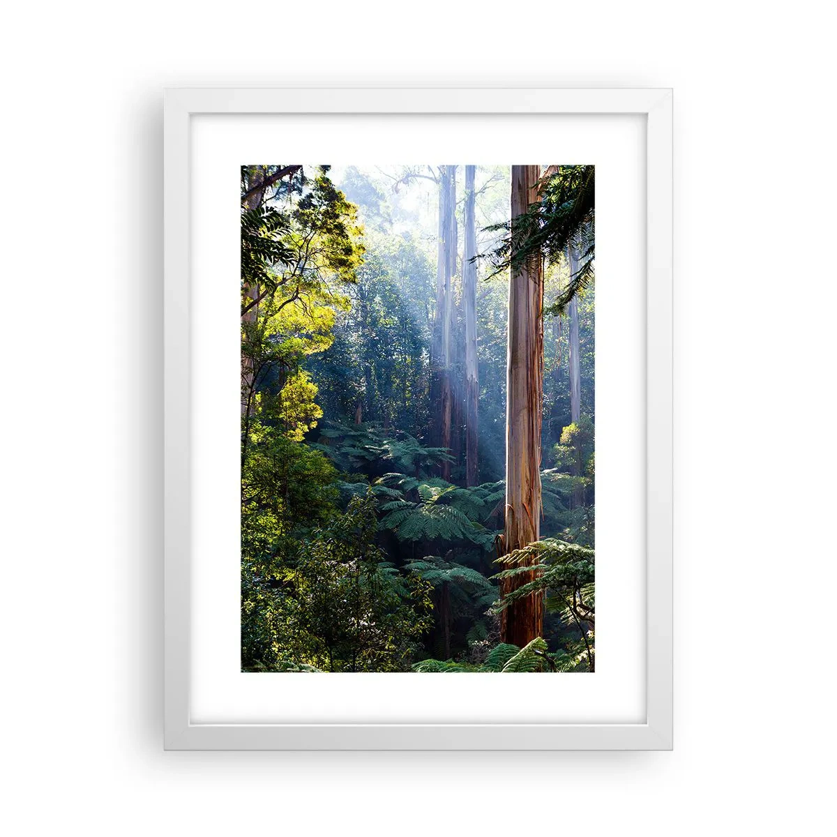 Affisch i vit ram - Skogens saga - 30x40 cm