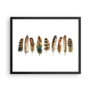 Affisch i svart ram - Fjädervariation - 50x40 cm