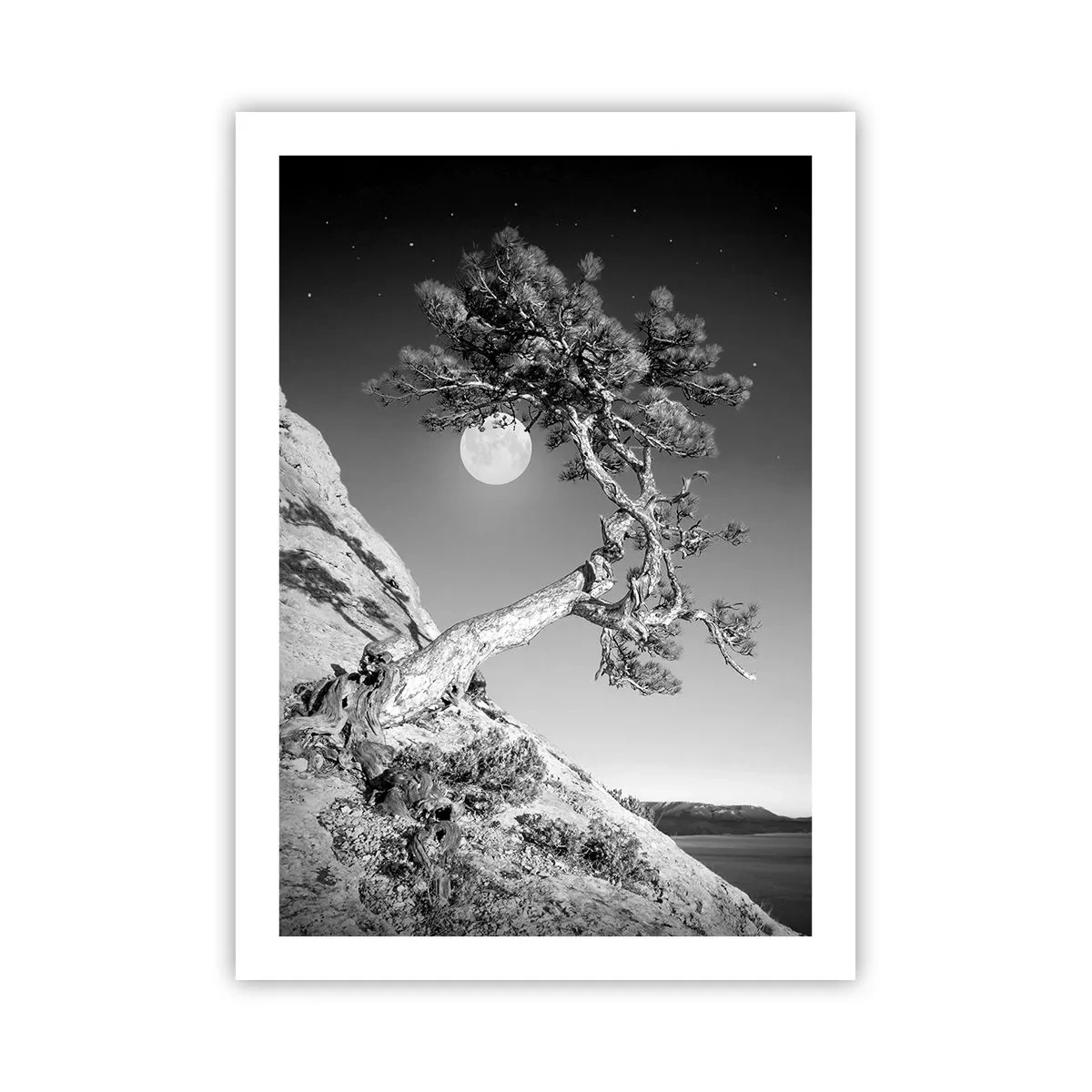 Affisch - Segerrik kämpe - 50x70 cm