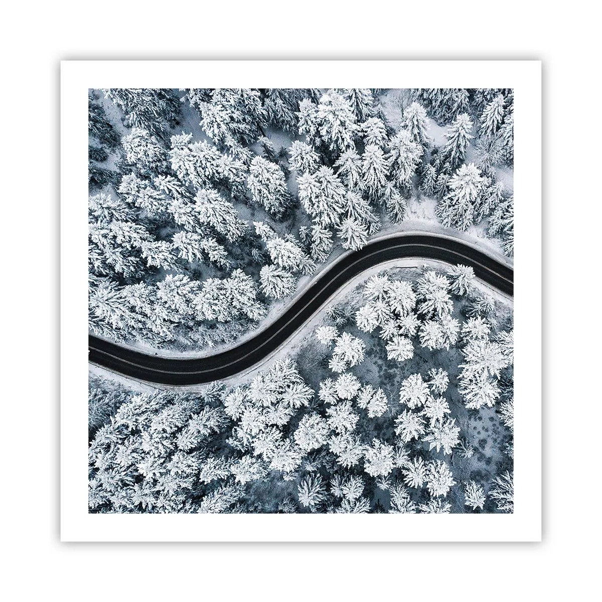 Affisch - Genom vinterskogen - 60x60 cm