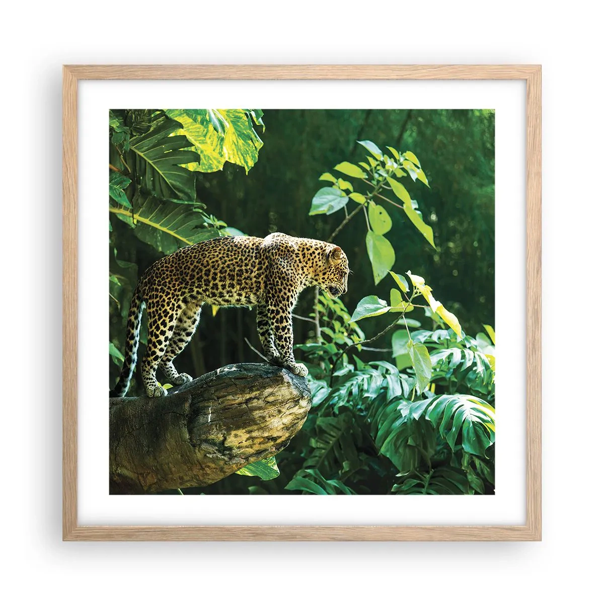 Affisch i ram av ljusek - På jakt? - 50x50 cm