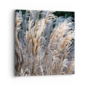 Canvastavla - Bild på duk - Frostprydda - 30x30 cm