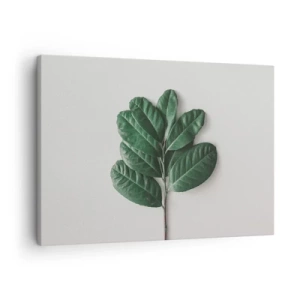 Canvastavla - Bild på duk - En kvist gröna blad på en ljus bakgrund - 70x50cm - Själva naturens bild - Modern väggdekoration för vardagsrum och sovrum ARTTOR