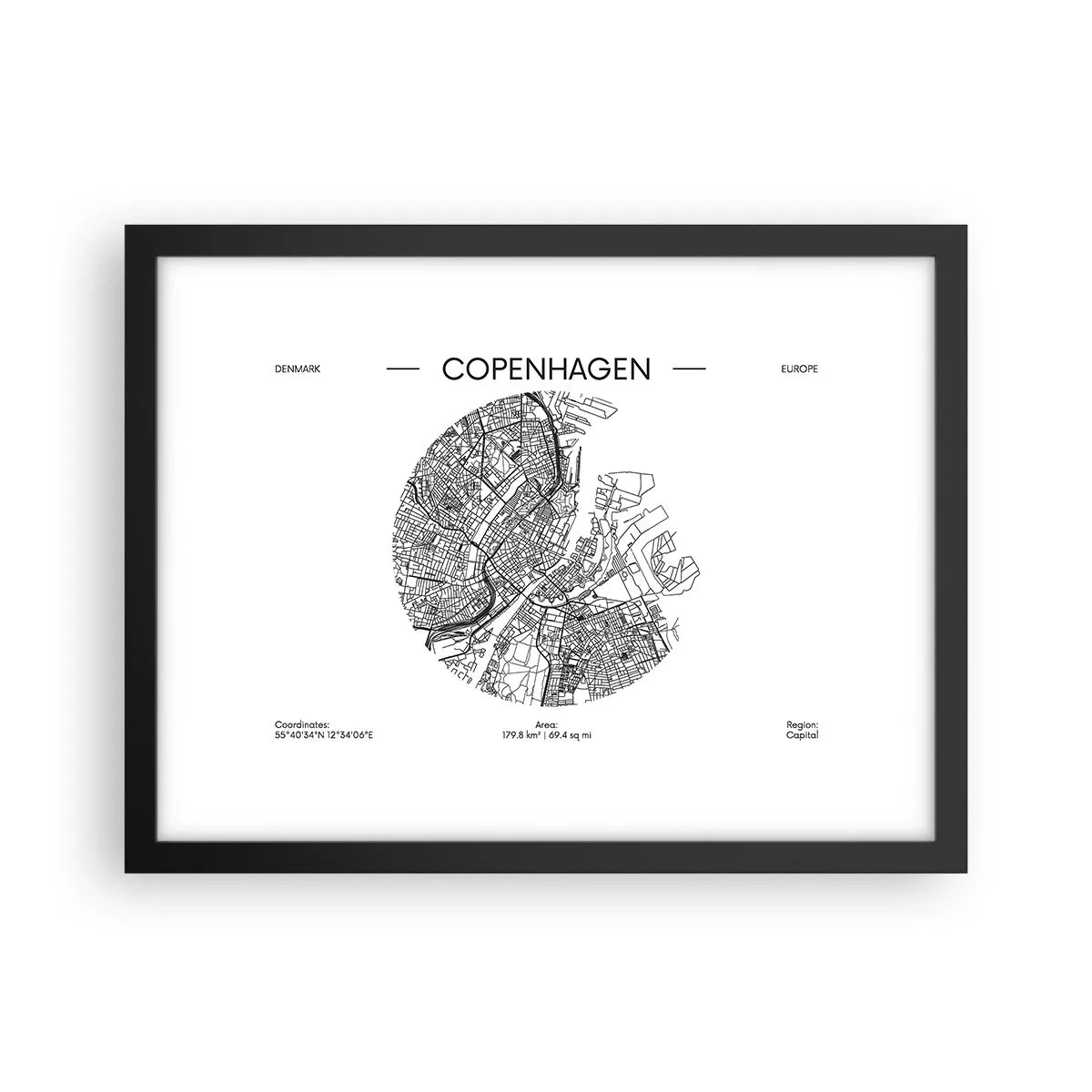 Affisch i svart ram - Köpenhamns anatomi - 40x30 cm