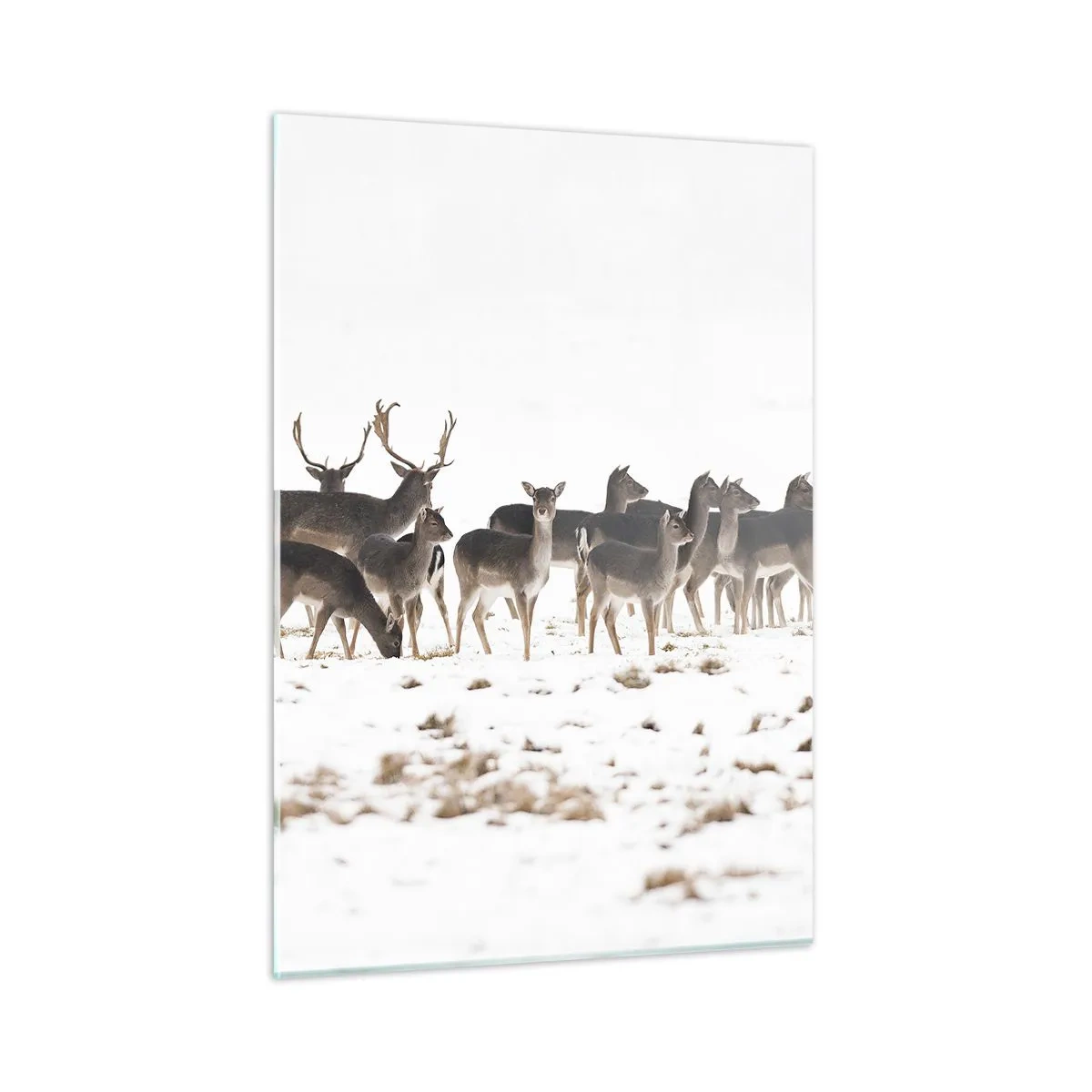 Glastavla - Bild på glas - Julen är på väg? - 50x70 cm