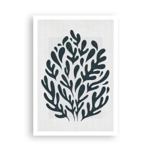 Affisch - Naturens former - 70x100 cm