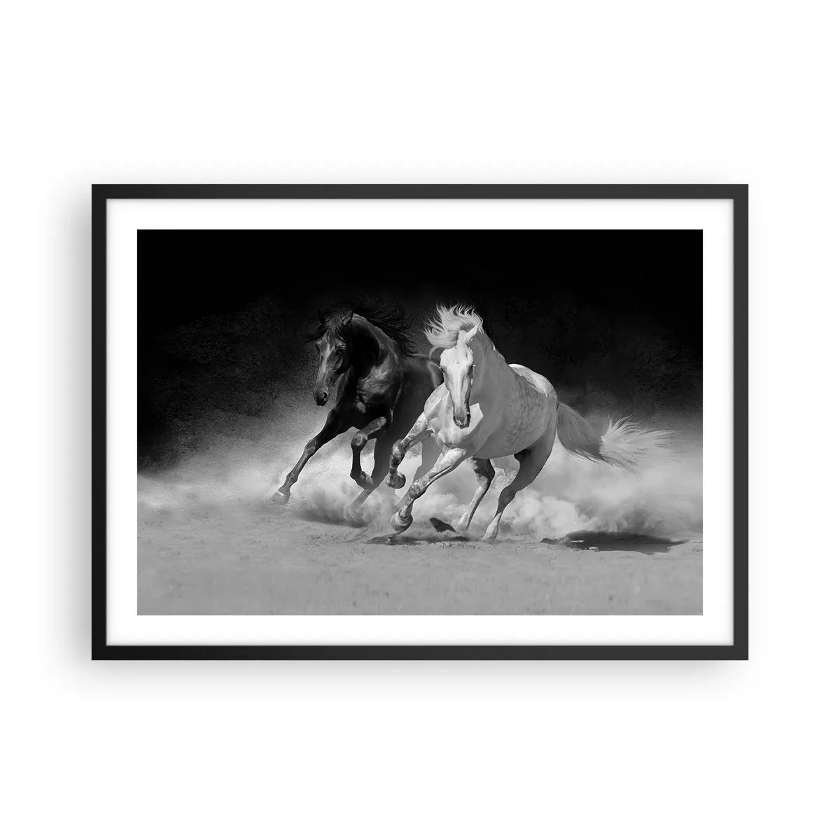 Affisch i svart ram - Frihetens galopp - 70x50 cm