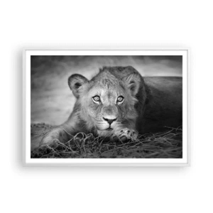 Affisch i vit ram - Kunglig valp - 100x70 cm