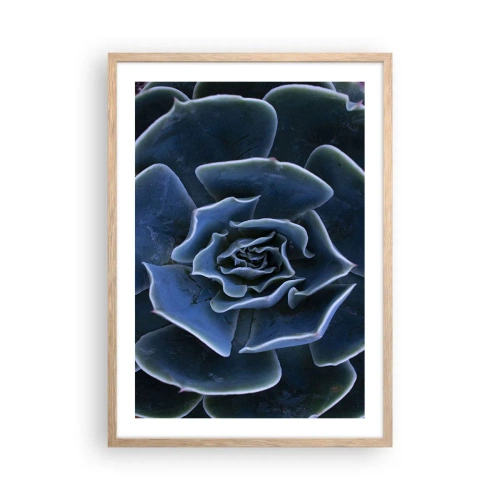 Affisch i ram av ljusek - Öknens blomma - 50x70 cm