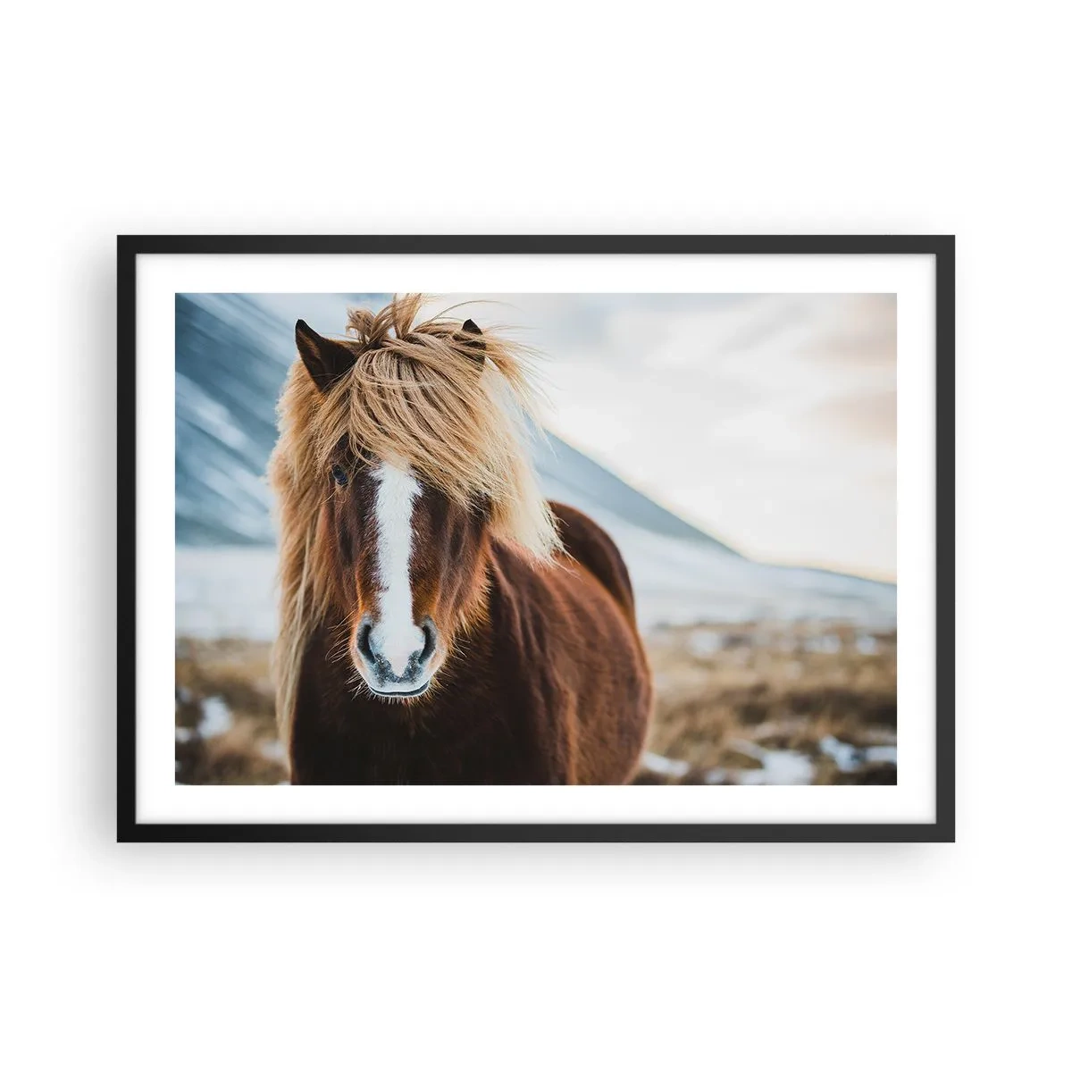 Affisch i svart ram - Känner du friheten? - 70x50 cm