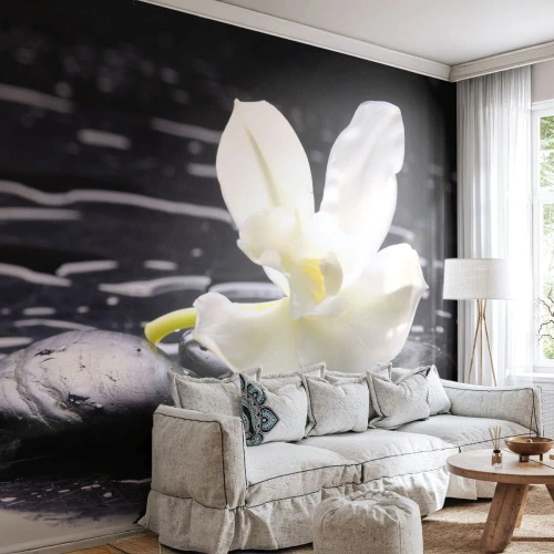 Fototapet Standard Eco - Ett studie i svart och vit - Blommor, Stenar, Orkide - 500x350 cm