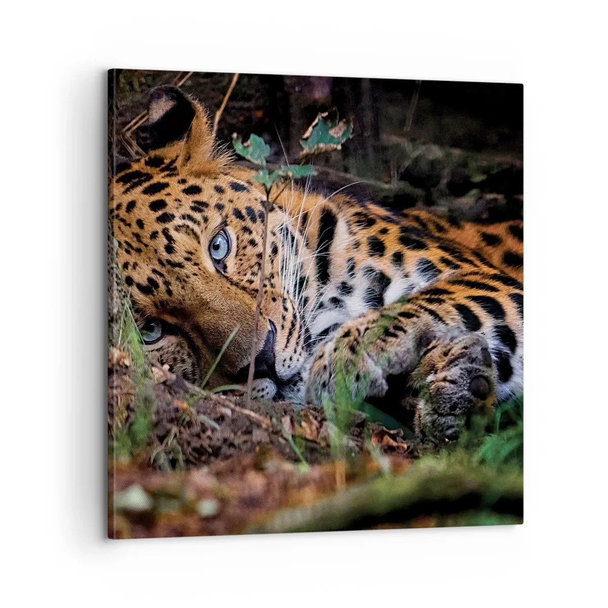 Canvastavla - Bild på duk - Tro mig - 60x60 cm