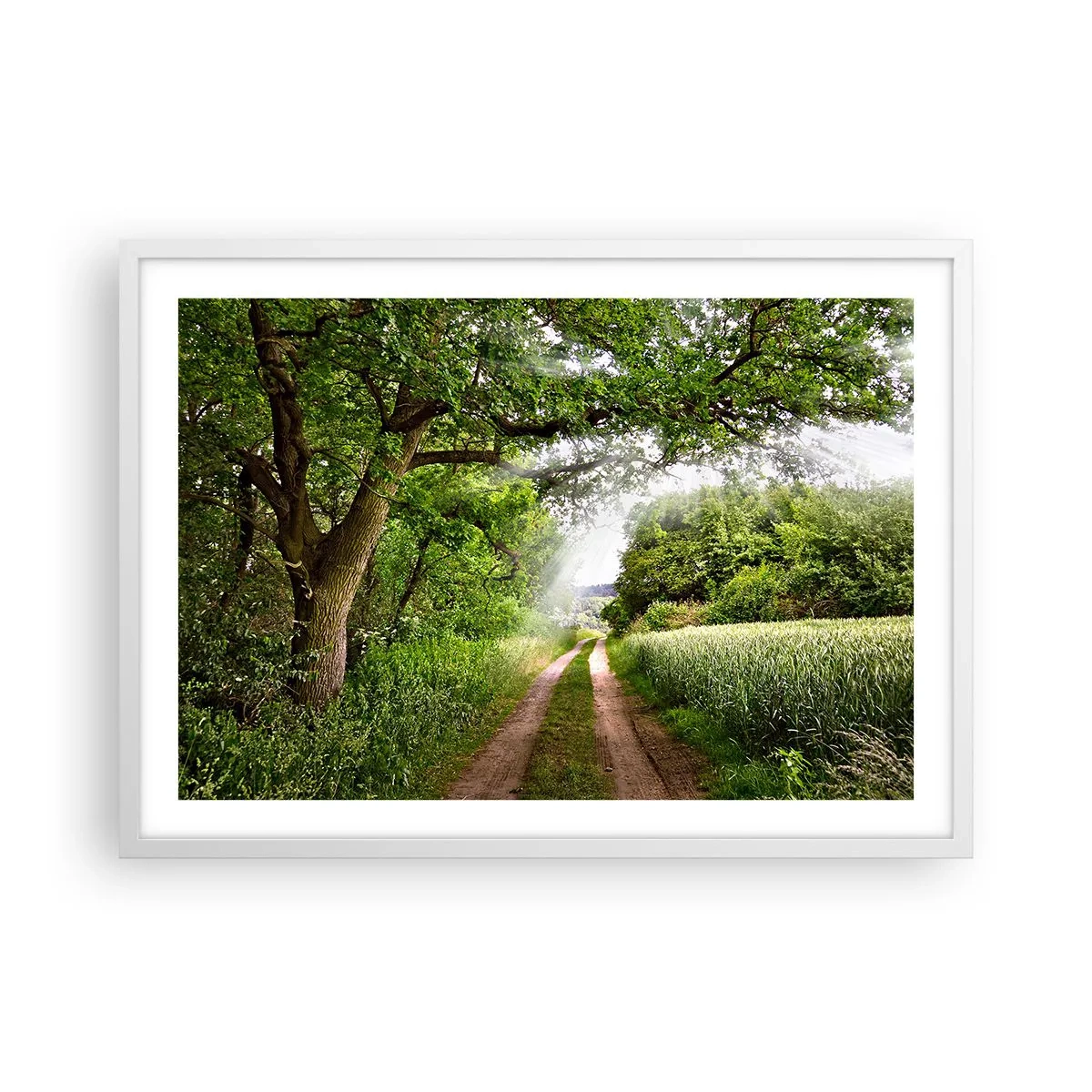 Affisch i vit ram - Et in Arcadia ego - 70x50 cm