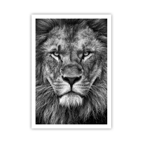 Affisch - I kröningskläder - 70x100 cm