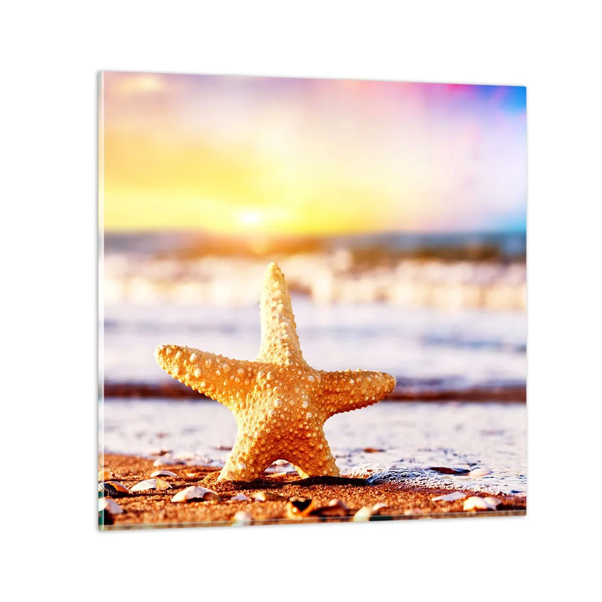 Glastavla - Bild på glas - Havsgåva - 60x60 cm