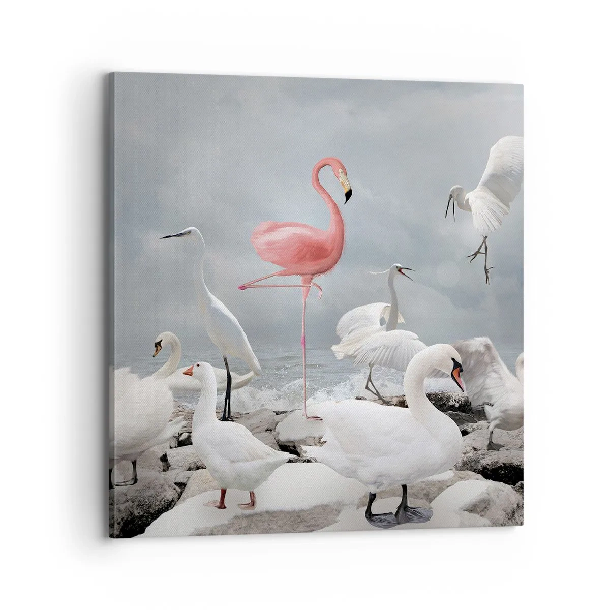 Canvastavla - Bild på duk - Hur har jag hamnat här? - 70x70 cm