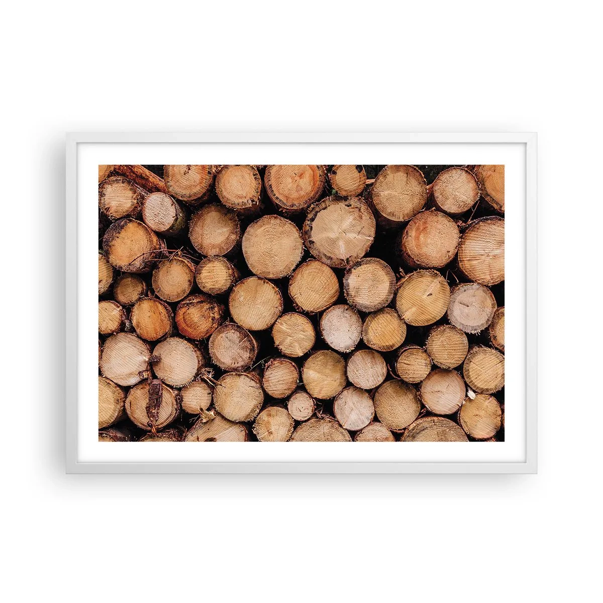 Affisch i vit ram - Ny början - 70x50 cm