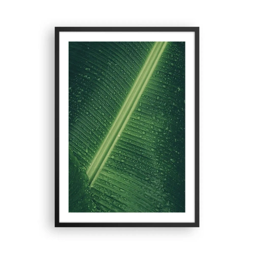 Affisch i svart ram - Närbild av ett grönt blad med vattendroppar - 50x70cm - Grönskans struktur - Modern väggdekoration för vardagsrum och sovrum ARTTOR