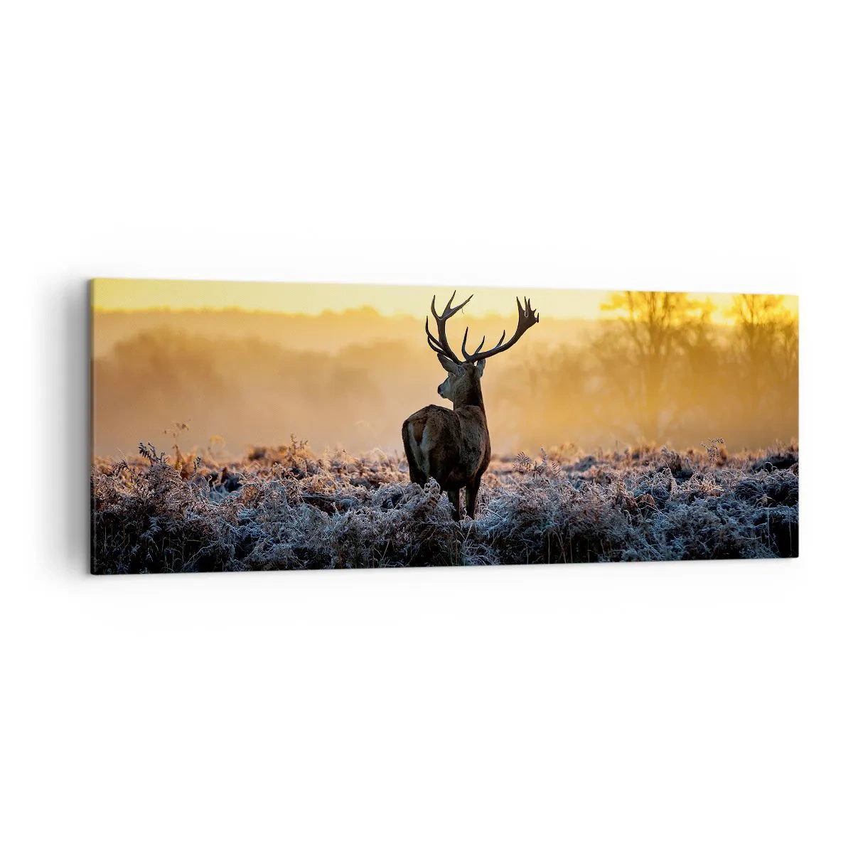 Canvastavla - Bild på duk - Krönt på sin mark - 140x50 cm