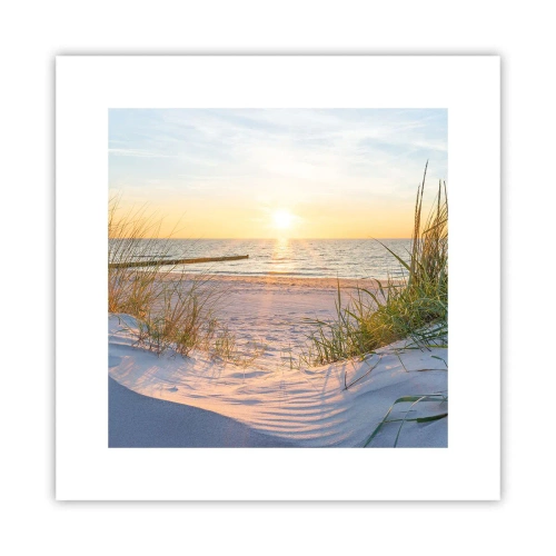 Affisch - Havets brus, fågelsång, tom strand bland träden - 30x30 cm
