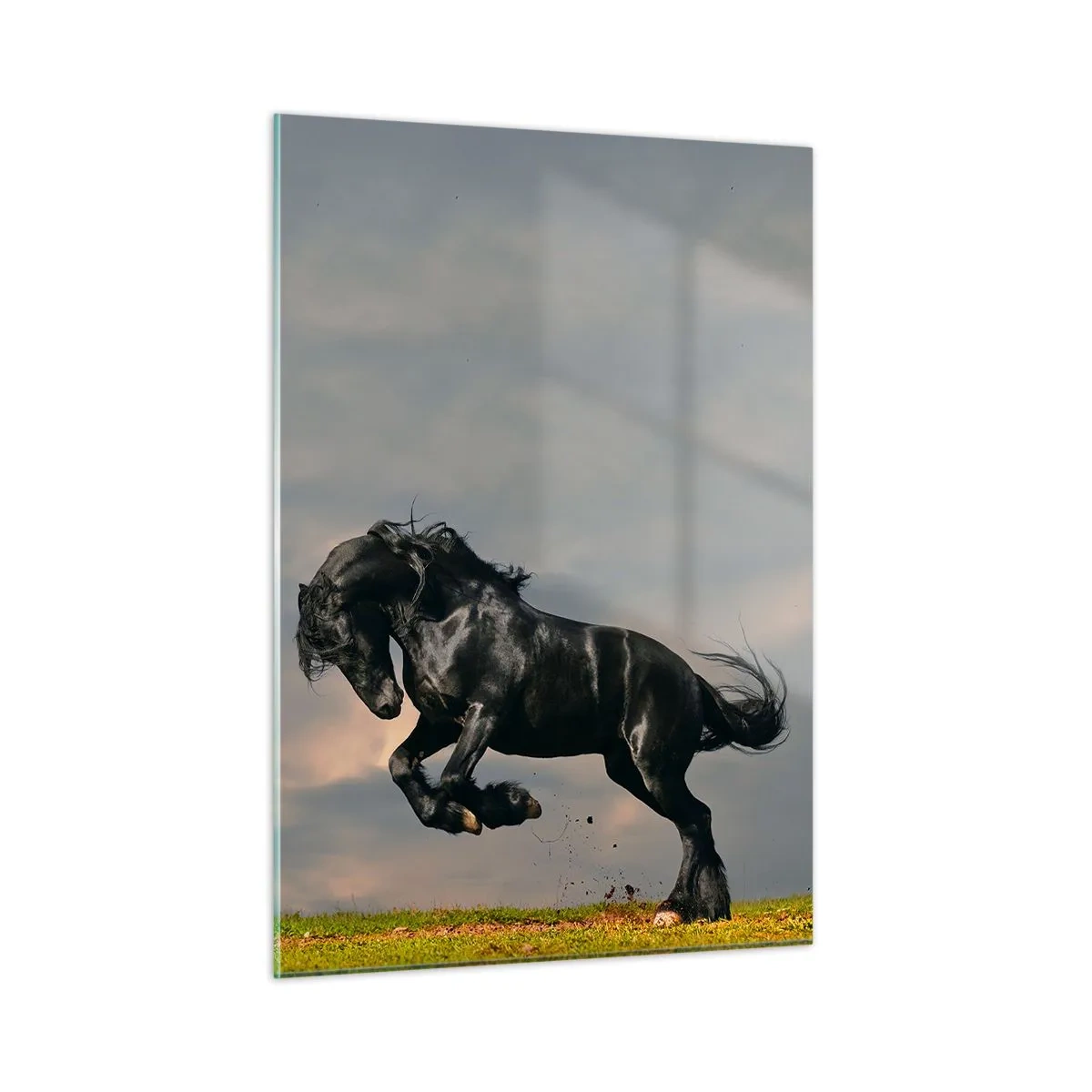 Glastavla - Bild på glas - Vacker och fri - 50x70 cm