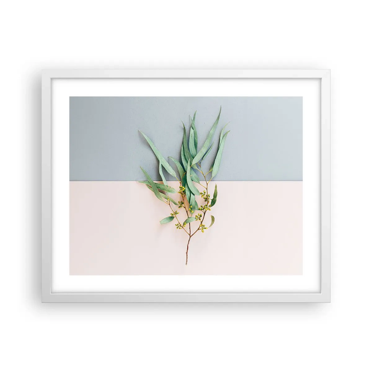 Affisch i vit ram - Pastellens subtilitet - 50x40 cm