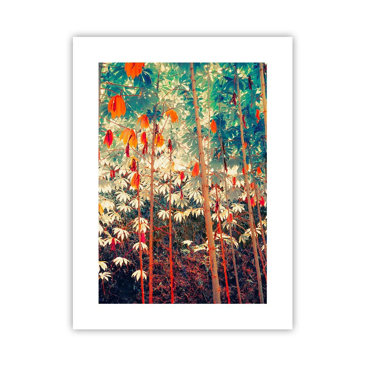 Affisch - Lövbladens hemlighetsfulla liv - 30x40 cm