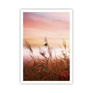 Affisch - Drakar, maskrosor, vind - 70x100 cm