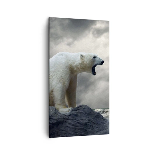 Canvastavla - Bild på duk - Arktis ensamma kung - 45x80 cm