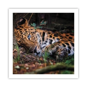 Affisch - Tro mig - 60x60 cm