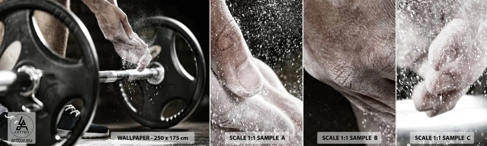 Fototapet Prov Standard Eco - Utmaningen accepterad! - Sport, Gym, Tyngdlyftning - 100x30 cm