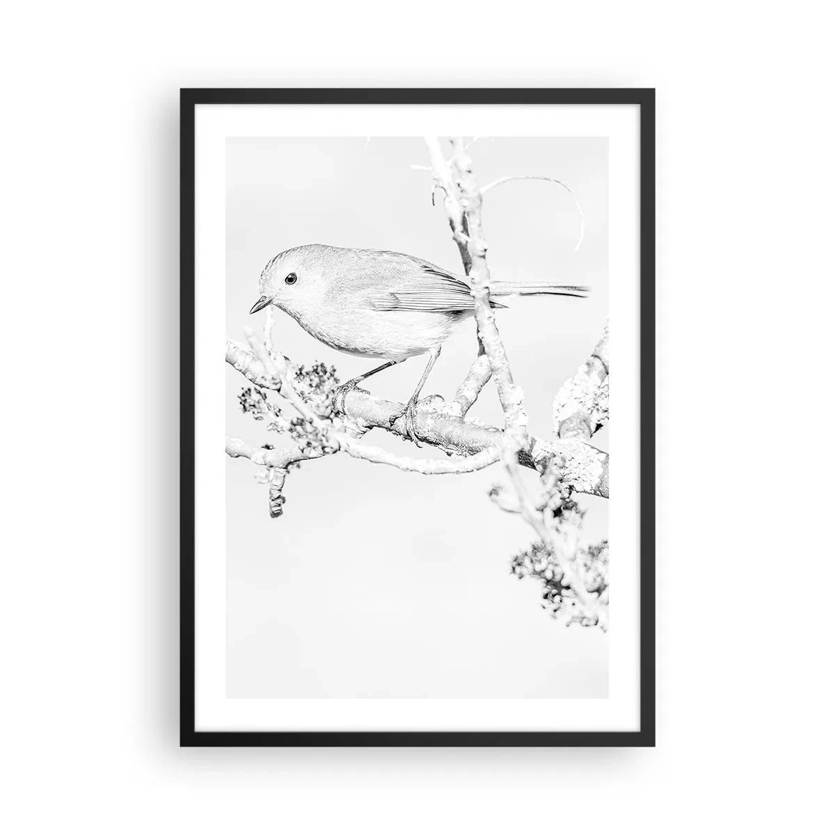 Affisch i svart ram - Svartvit teckning av en fågel på en gren - 50x70cm - Vintermorgon - Modern väggdekoration för vardagsrum och sovrum ARTTOR