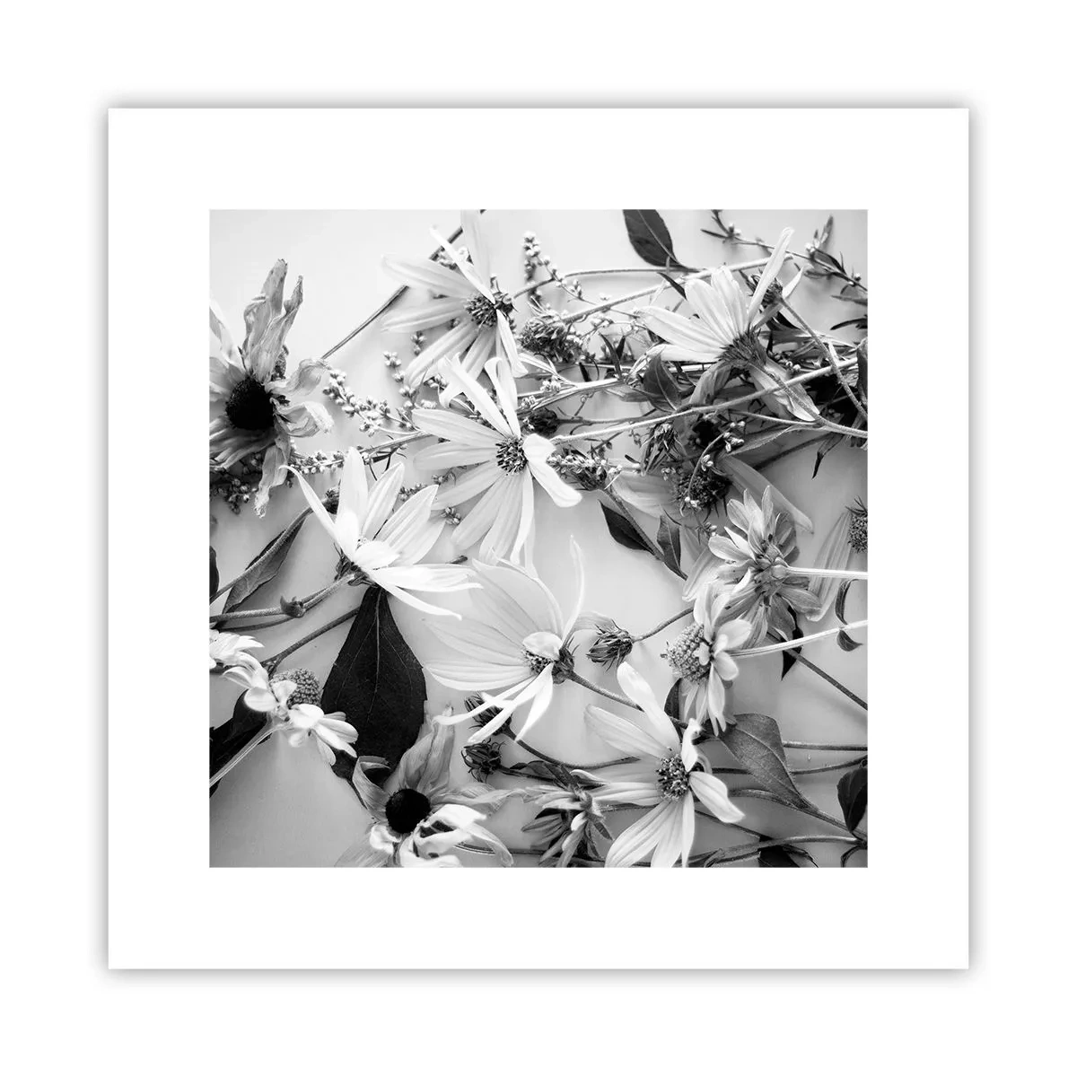 Affisch - Icke-blombukett - 30x30 cm