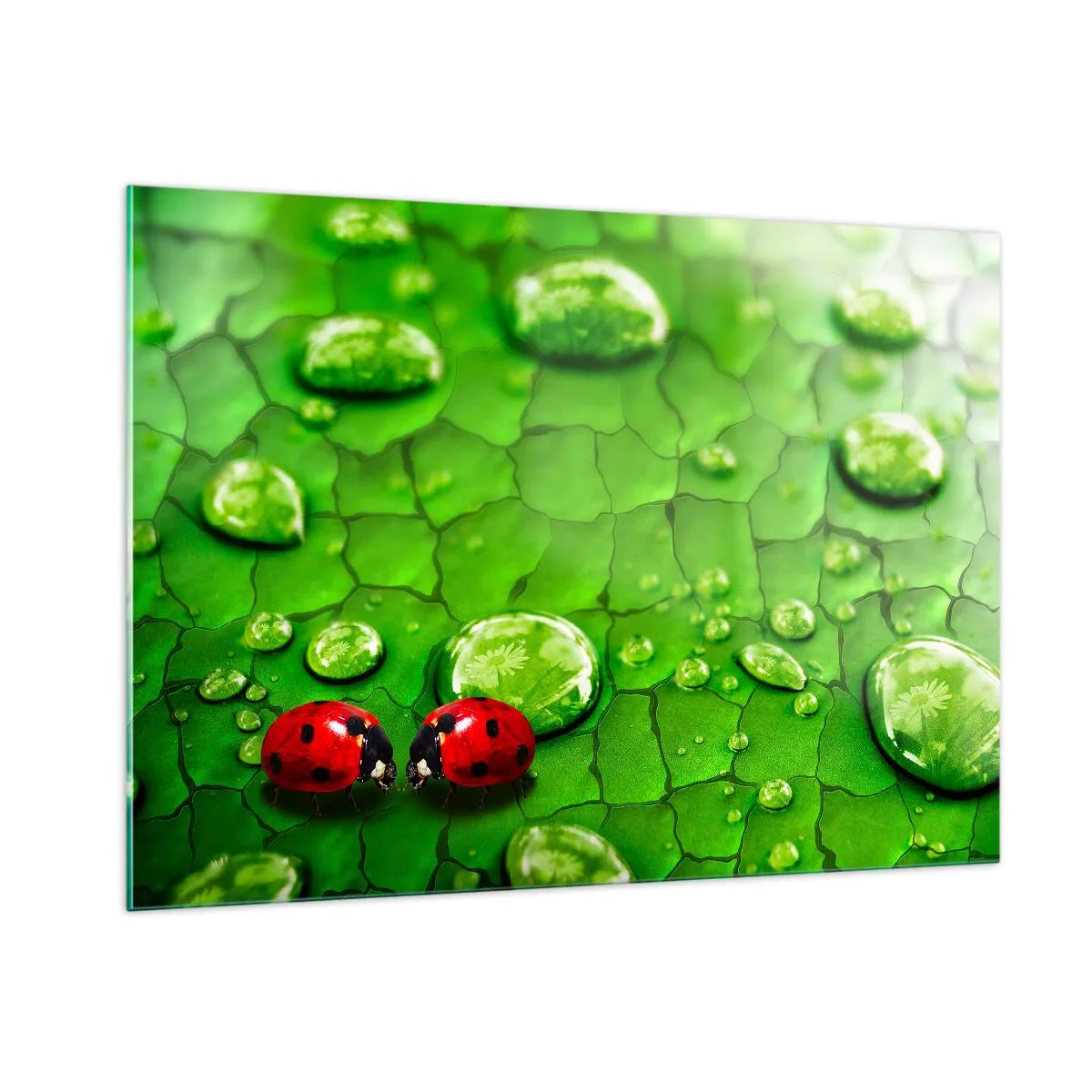 Glastavla - Bild på glas - Ett möte i det gröna - 100x70 cm