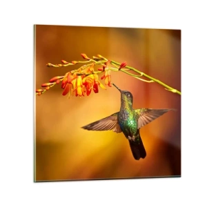 Glastavla - Bild på glas - Ljusbud enligt Mayafolket - 40x40 cm