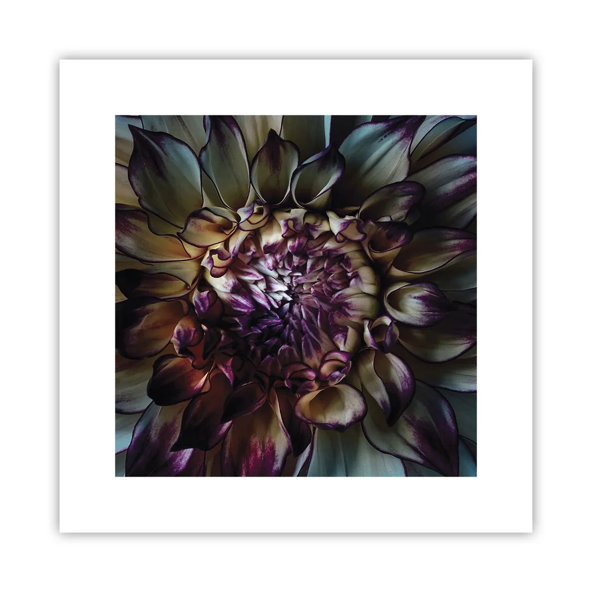 Affisch - Blommande ungdom - 30x30 cm